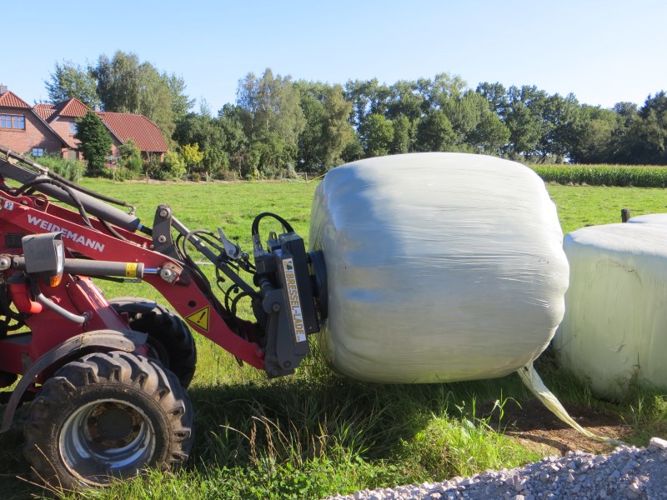 Ballenaufnahme